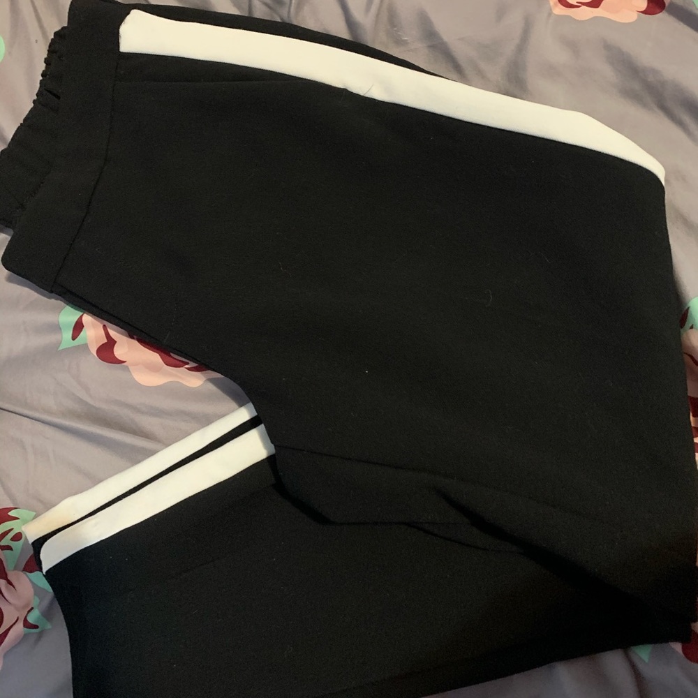 Dress pants